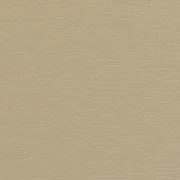 kosc sloniowa